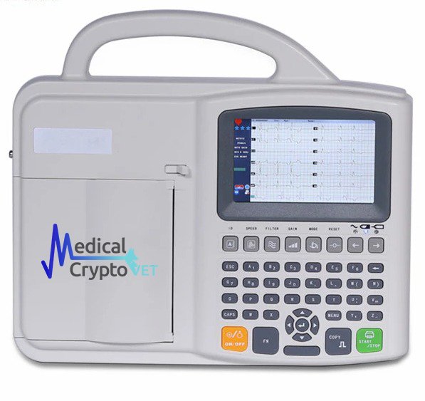 Electrocardiograma ECG 3B