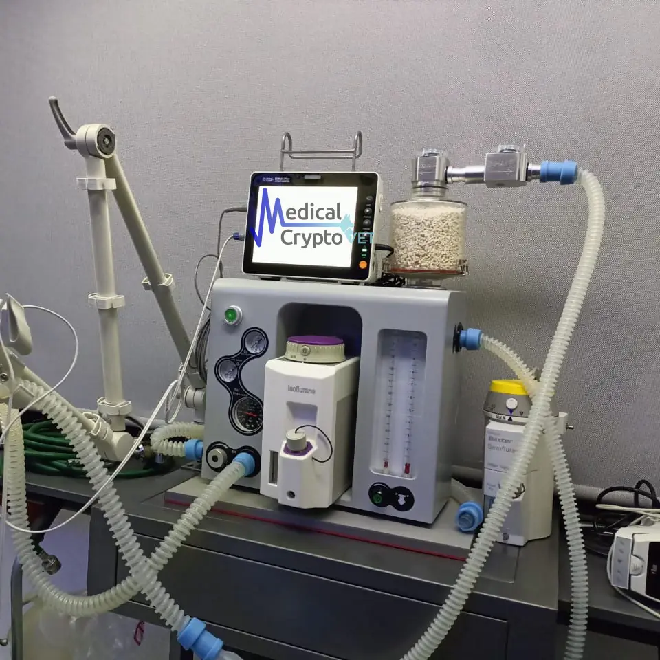 Maquina de anestesia Royal Meditech VAMO 02